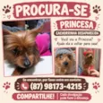Princesa