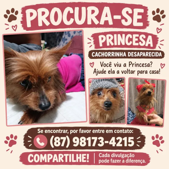 Cachorro raça SRD-ViraLata idade 6 ou mais anos nome Princesa