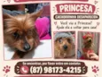 Princesa