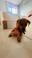 Rita