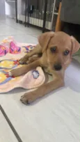 Rita