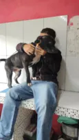 Black ou negão 
