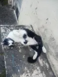 não sei