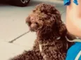 Não sei o nome dele mas estou chamando de “tico”