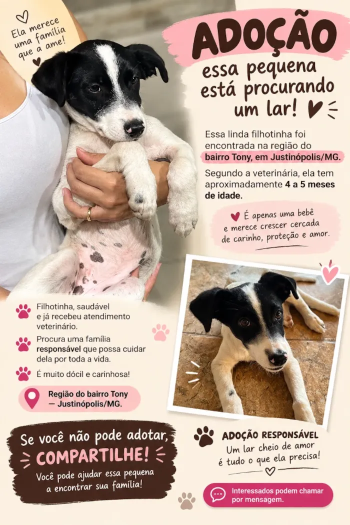 Cachorro raça SRD-ViraLata idade 2 a 6 meses nome Luna 