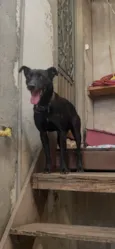 Lupita