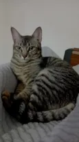 Beni 