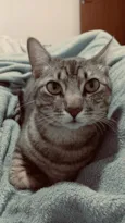 Beni 