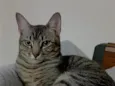 Beni 