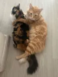 Pablito e Catarina