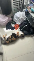 Pablito e Catarina