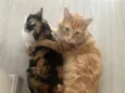 Pablito e Catarina