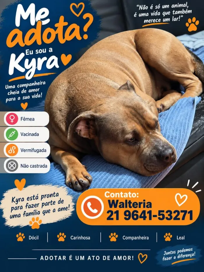Cachorro raça Pit-Bull idade 2 anos nome Kyra