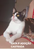 LILA