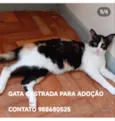 LILA