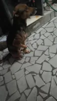 Lumma e Hakira