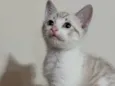 João
