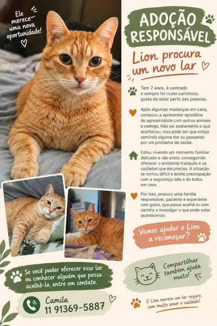 Gato raça SRD-ViraLata idade 6 ou mais anos nome Lion