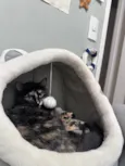 Tina