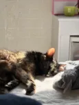 Tina