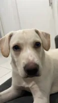 Zeca