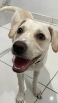Zeca
