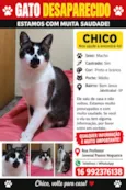 Chico