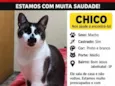 Chico