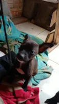 todos tem nomem,mais você pode trocar se quiser!
