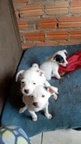 todos tem nomem,mais você pode trocar se quiser!