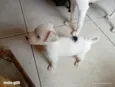 todos tem nomem,mais você pode trocar se quiser!