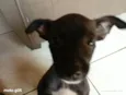 todos tem nomem,mais você pode trocar se quiser!