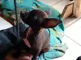 todos tem nomem,mais você pode trocar se quiser!
