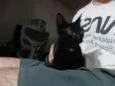 Bruce