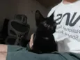 Bruce