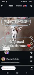 Floquinho 