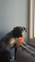 Nala Maria