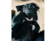 Nala Maria