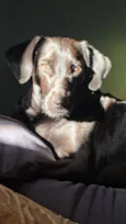 Nala Maria