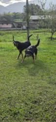 zurry e zaack