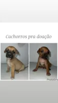 Não tem nome 