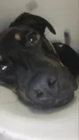 EXU