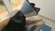 EXU