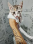 Lili