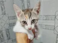 Lili