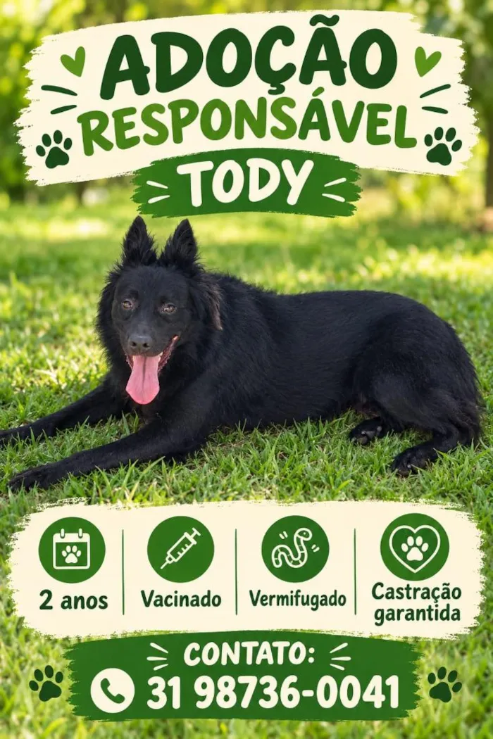 Cachorro raça SRD-ViraLata idade 2 anos nome Toty