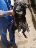 Duke,Pepeu ,lindinha e Duda o outro nao tem nome