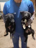 Duke,Pepeu ,lindinha e Duda o outro nao tem nome