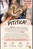 Pititica