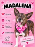 Madalena